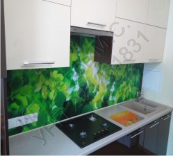 стеклянный фартук